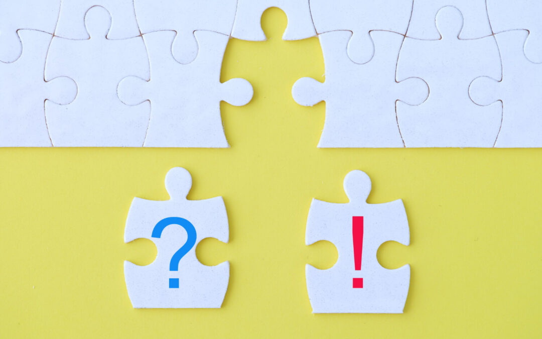 Who carries out DSE risk assessment?