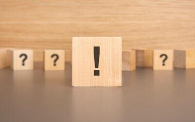 What are the common issues identified in a DSE Assessment?